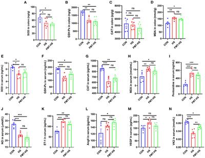 Gut microbial evidence chain in high-salt diet exacerbates intestinal aging process